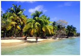 Je cherche un déménageur pour la Martinique