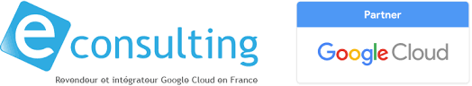 Expert et distributeurs en suite GOOGLE FRANCE et INTERNATIONAL econsulting
