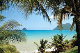 déménagement vers la martinique