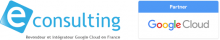 Expert et distributeurs en suite GOOGLE FRANCE et INTERNATIONAL econsulting